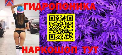 apvp Ипатово